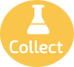 collect